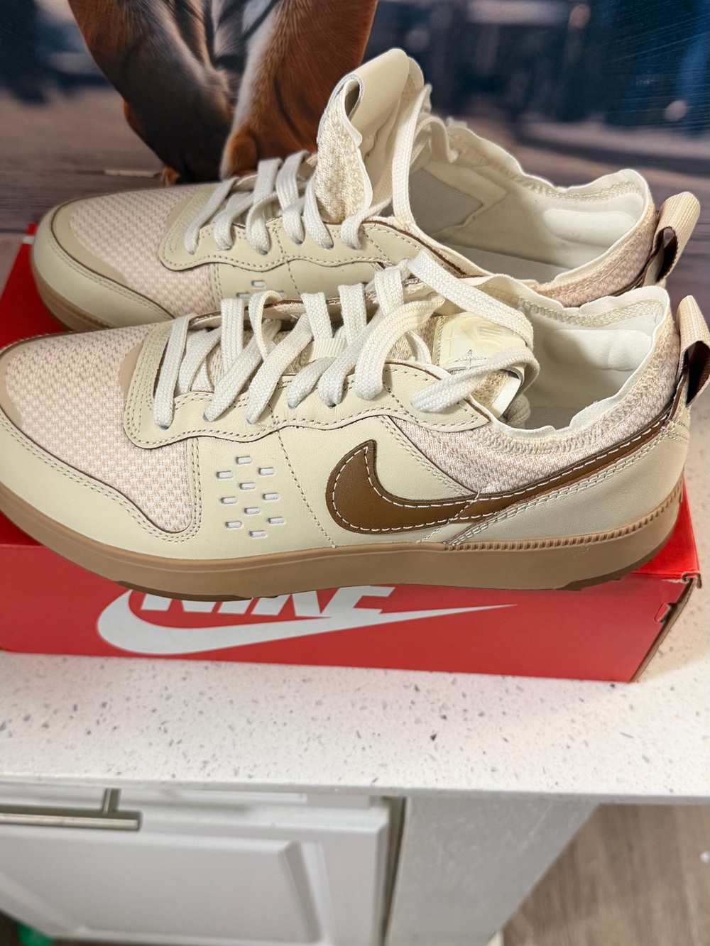 Nike Cream & Brown Low-Top Sneakers with Tan Sole